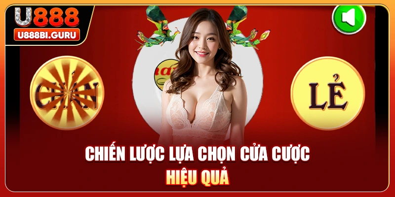 Chiến lược lựa chọn cửa cược hiệu quả