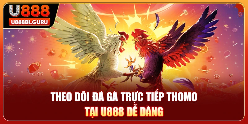 Theo dõi đá gà trực tiếp Thomo tại U888 dễ dàng
