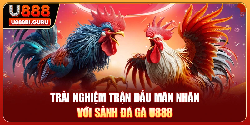 Trải nghiệm trận đấu mãn nhãn với sảnh đá gà U888